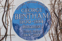 Bentham, George (id=99)